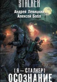 Я – Сталкер 1. Осознание - Андрей Левицкий