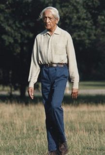 Дневник Кришнамурти - Джидду Кришнамурти