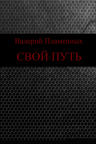 Свой Путь - Валерий Пламенных